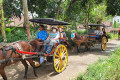 From Yogyakarta : Borobudur & Dokar ( Horse Cart ) Village Tour Candirejo