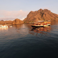 2D1N KOMODO TOURS