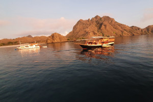 2D1N KOMODO TOURS
