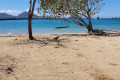 2D1N KOMODO TOURS