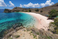 2D1N KOMODO TOURS
