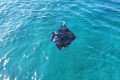 2D1N KOMODO TOURS