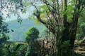 Baduy Tribe Full-day Trip from Jakarta