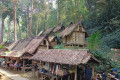 Baduy Tribe Full-day Trip from Jakarta
