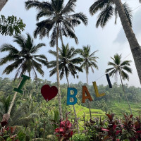 Ubud Village Tour from Benoa Port Bali