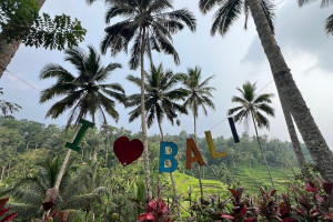 Ubud Village Tour from Benoa Port Bali