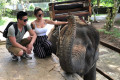 Ubud Elephant Safari Ride Tour from Benoa Port Bali