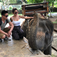 Ubud Elephant Safari Ride Tour from Benoa Port Bali
