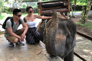 Ubud Elephant Safari Ride Tour from Benoa Port Bali