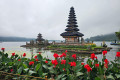 Jatiluwih Tanah Lot Tour from Benoa Port Bali