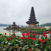 Jatiluwih Tanah Lot Tour from Benoa Port Bali
