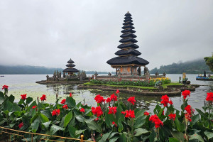 Jatiluwih Tanah Lot Tour from Benoa Port Bali