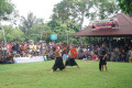 Lombok Tours from Lembar Port